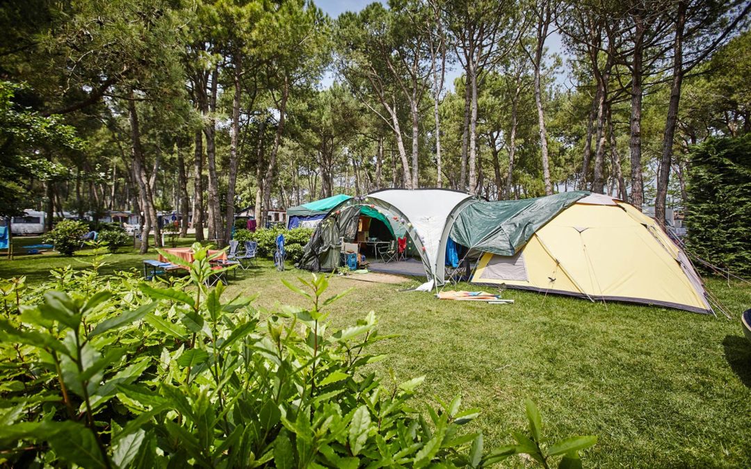 Happy Camping Spring