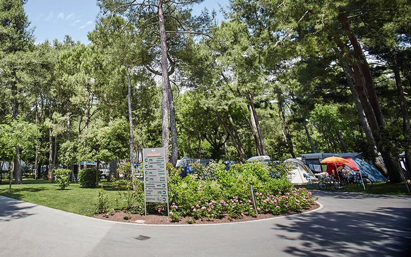 Happy Camping Spring