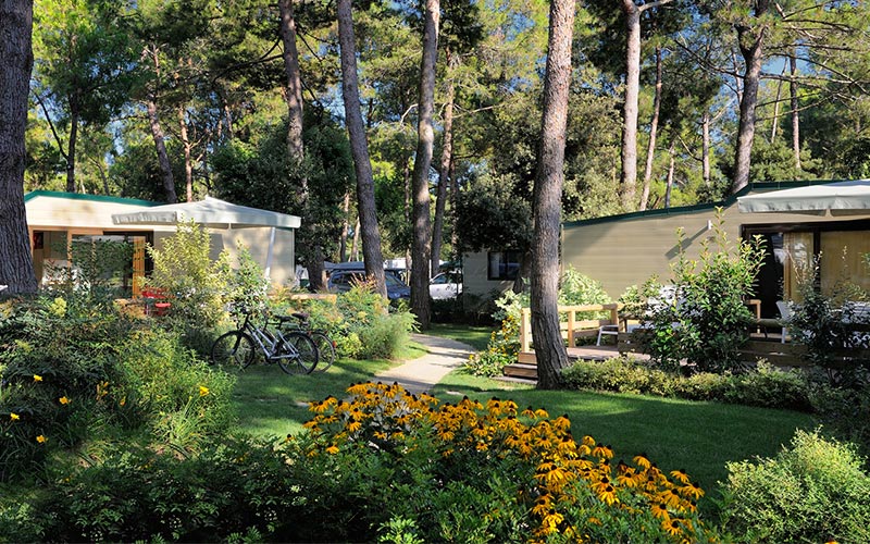 Happy Village Autumn