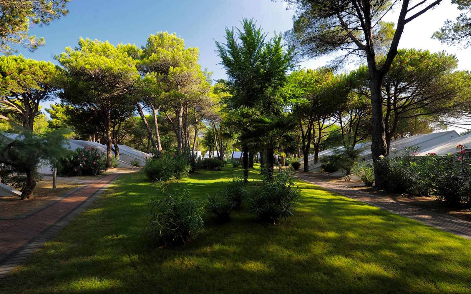 2-Vacanza in famiglia a Cavallino