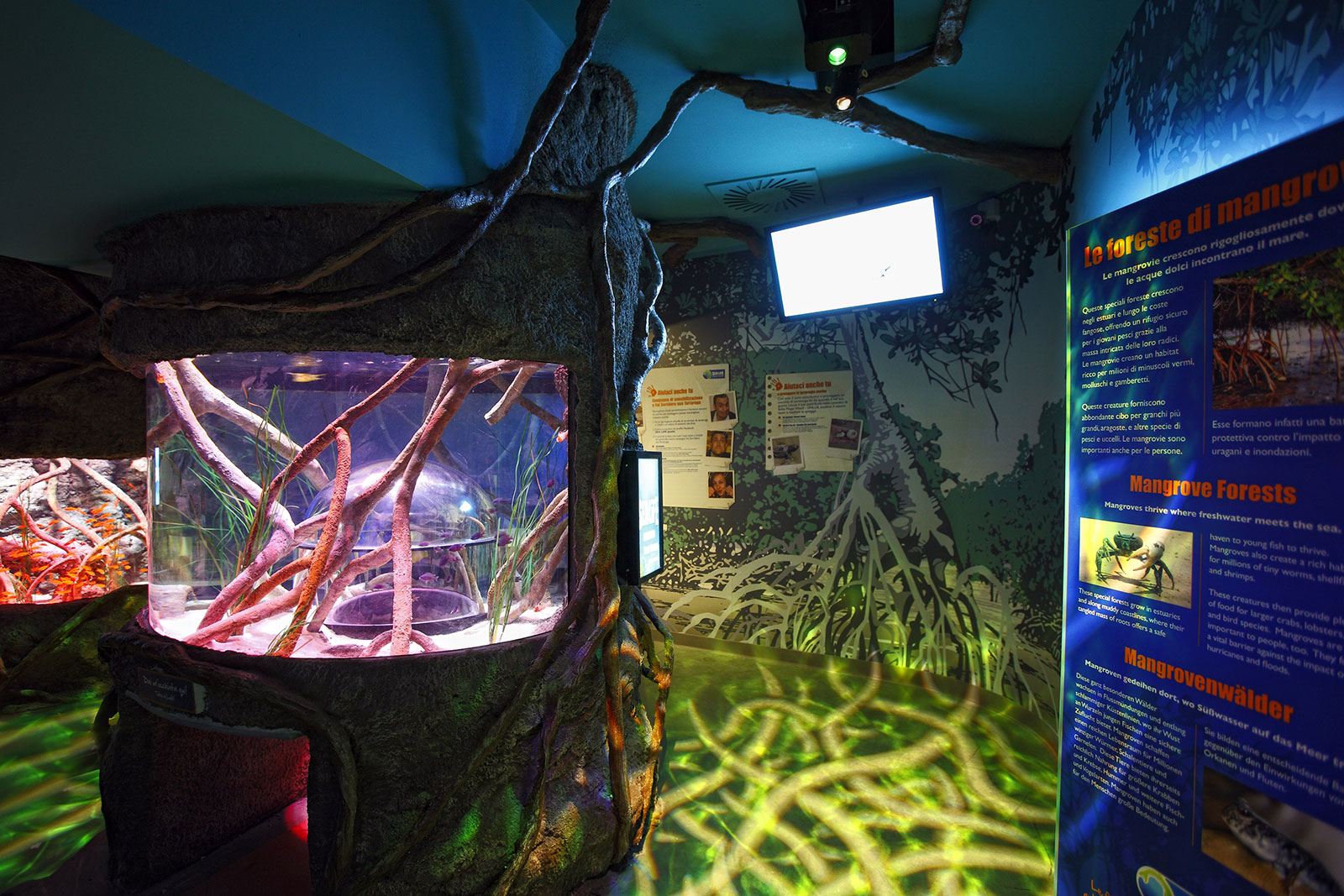 10-SeaLife-was-machen-in-Jesolo