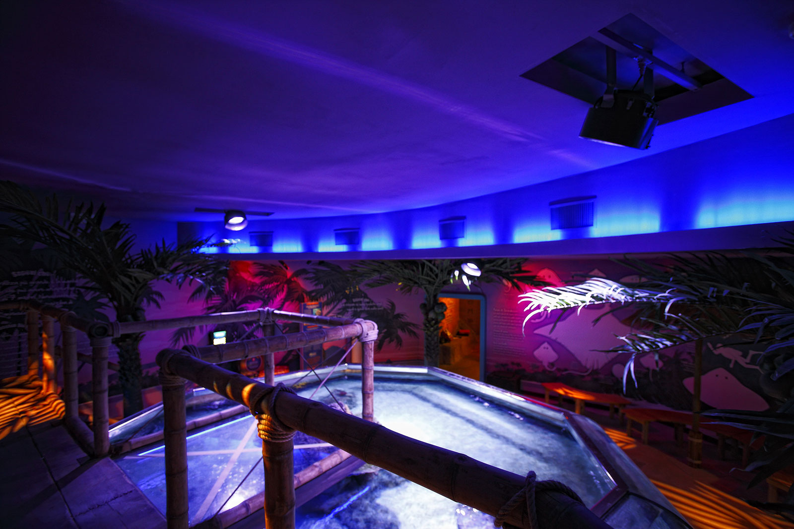 11-Things-to-do-in-Jesolo-Sealife