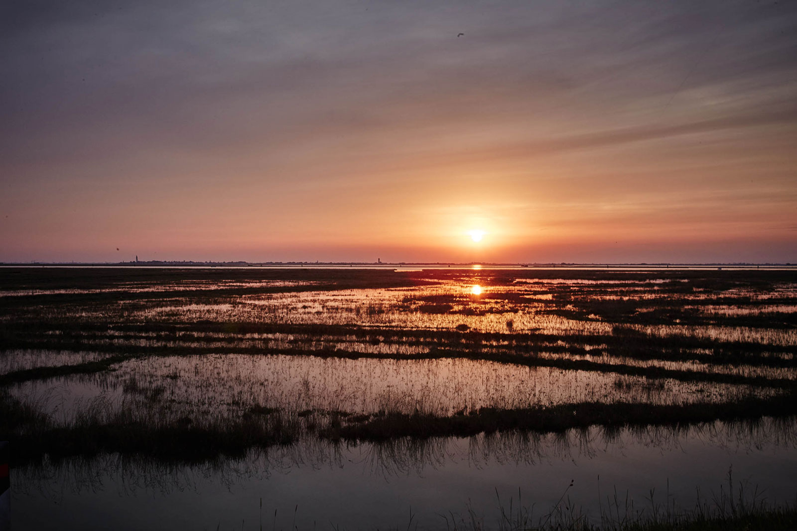 18---naturoplevelser-i-Cavallino-Treporti-Venedig-(1)