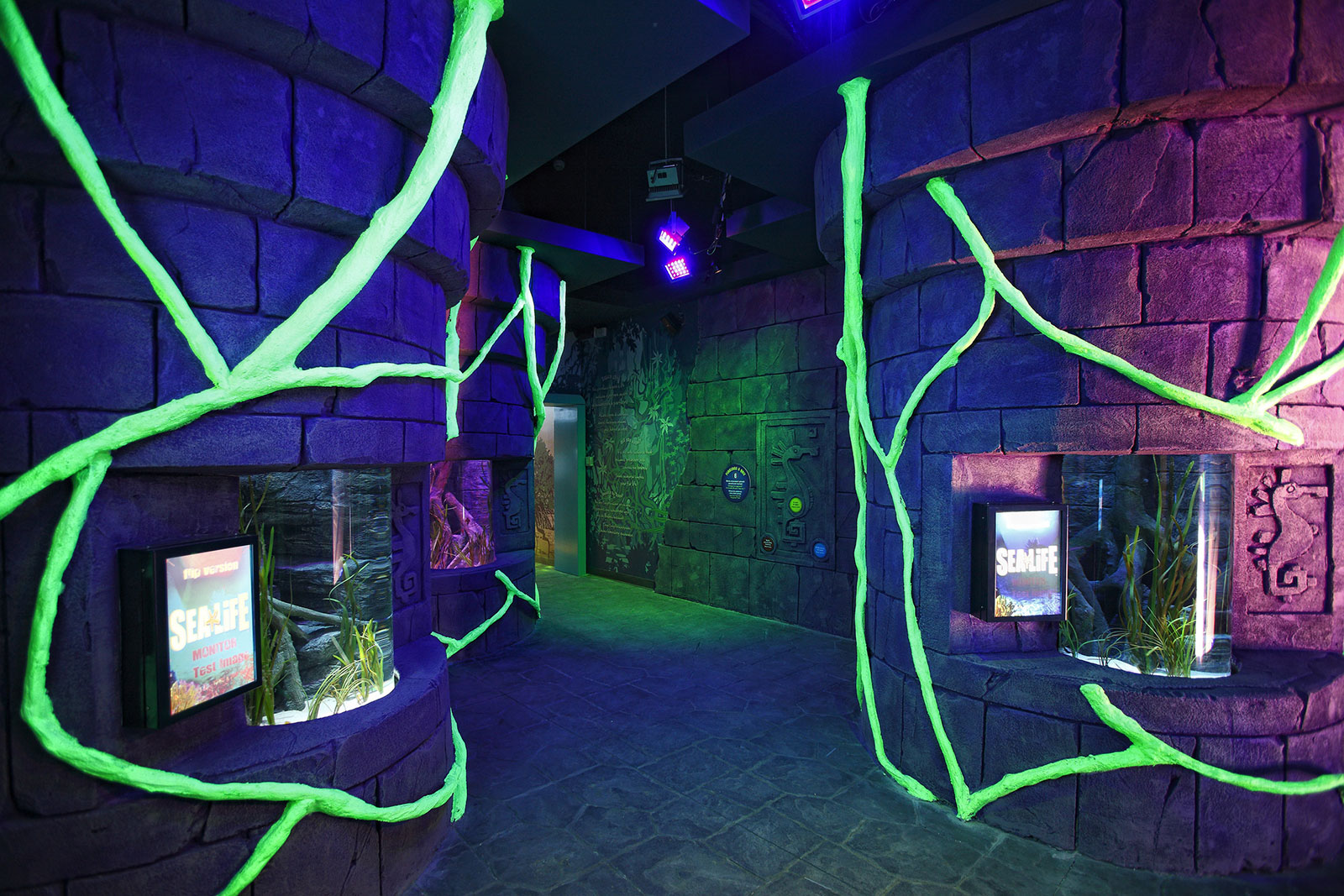 6-Sealife-acquario-Lido-di-Jesolo