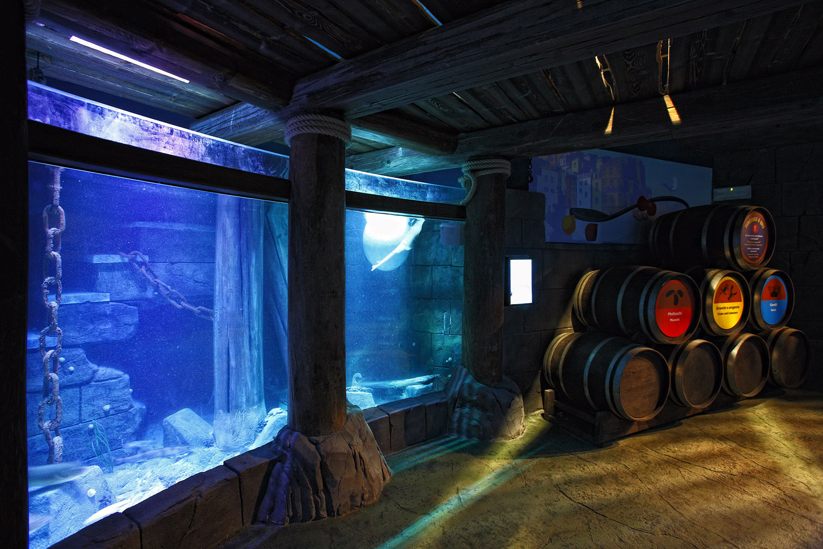 7--Sealife-Aquarium-Lido-di-Jesolo