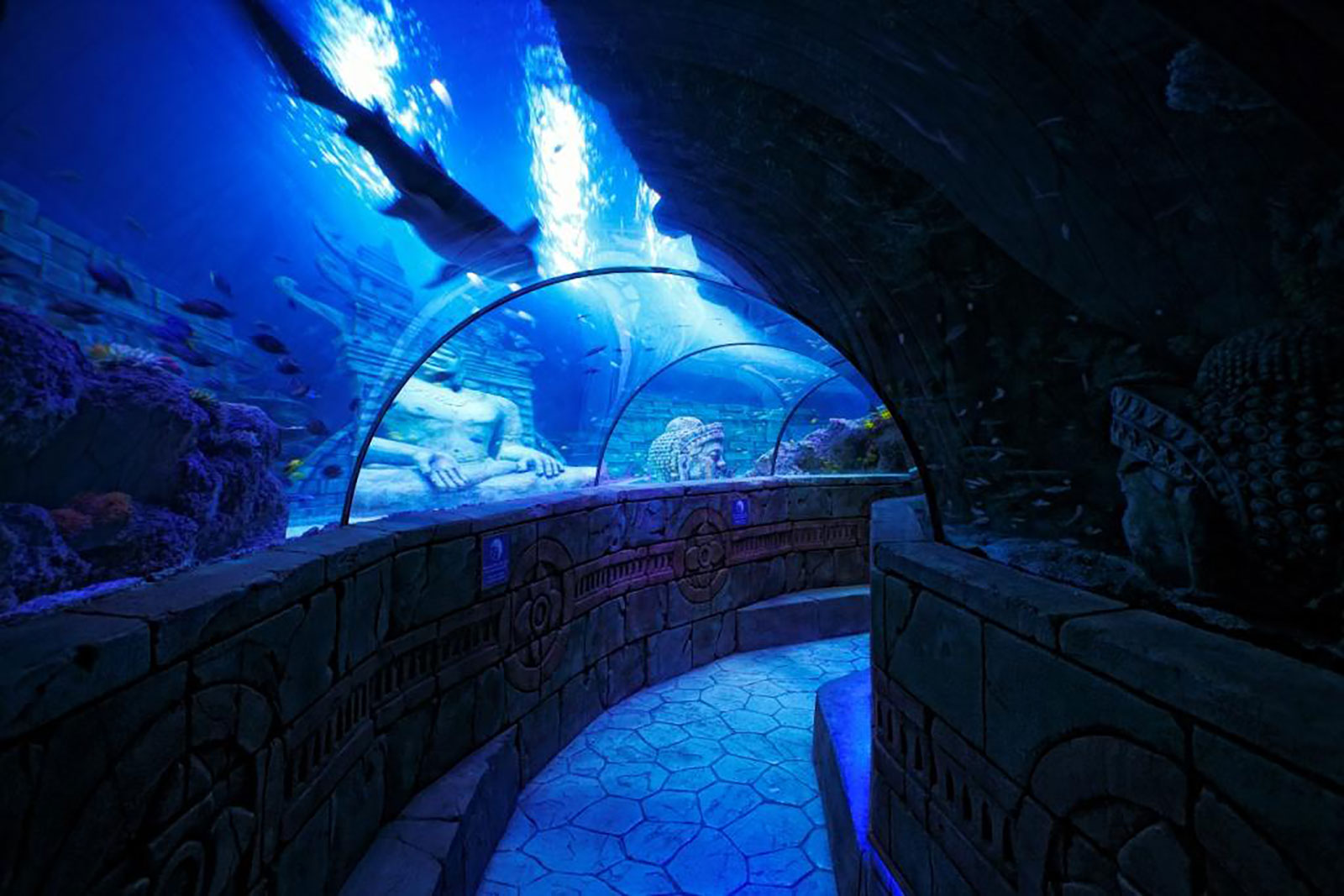 8---oceanic-tunnel-Sealife-Jesolo-Lido