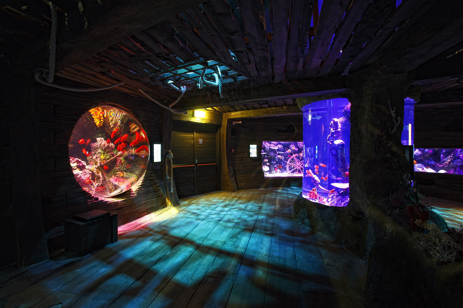 9---ozeanischen-Tunnel-Sealife-Jesolo-Lido