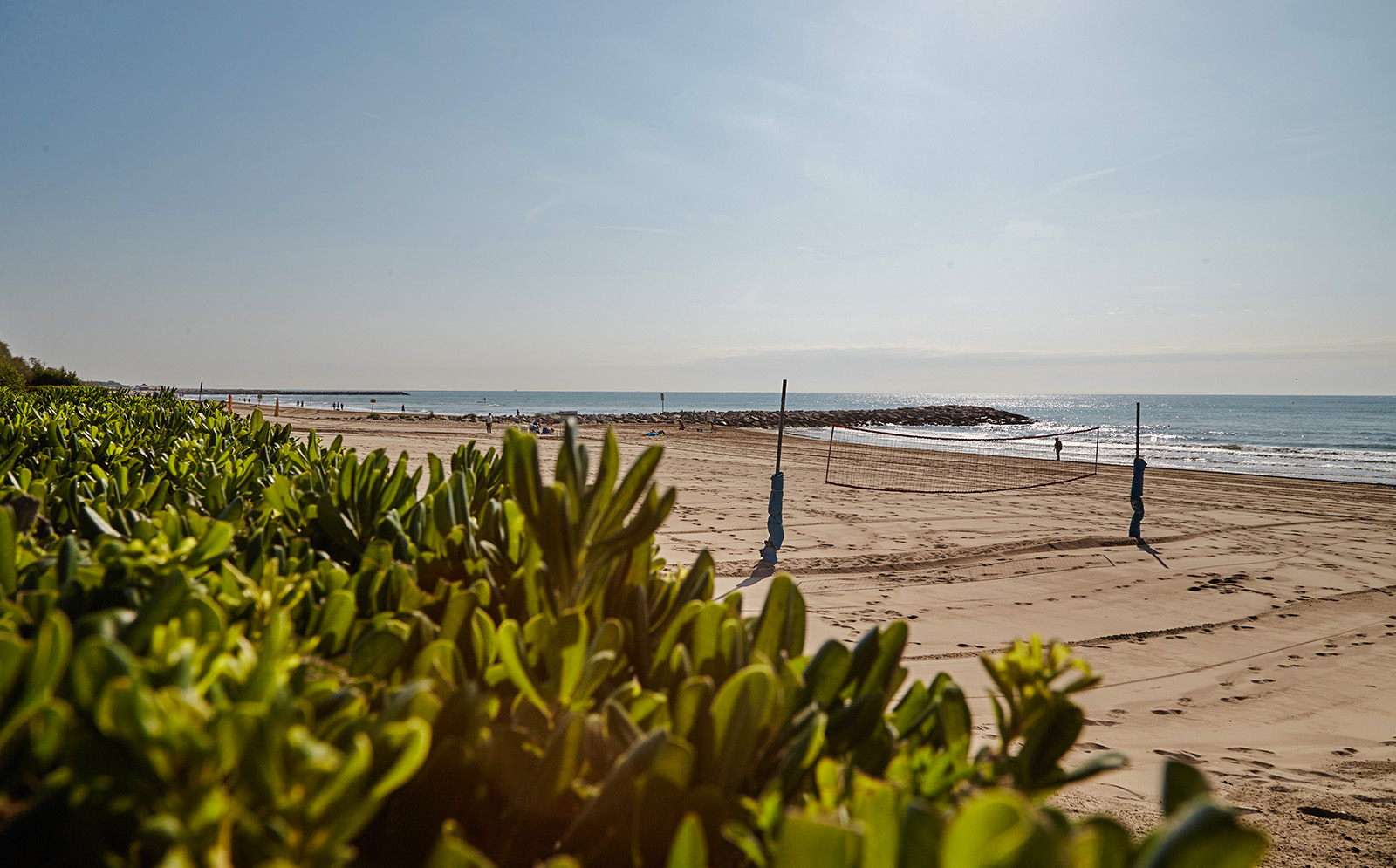 00-Volleyball-pallavolo-spiaggia-beach-sport-entertainment-Dei-Fiori