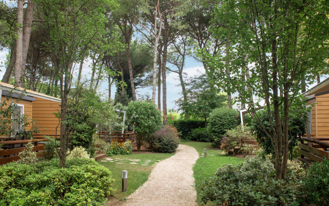 Happy Village Spring